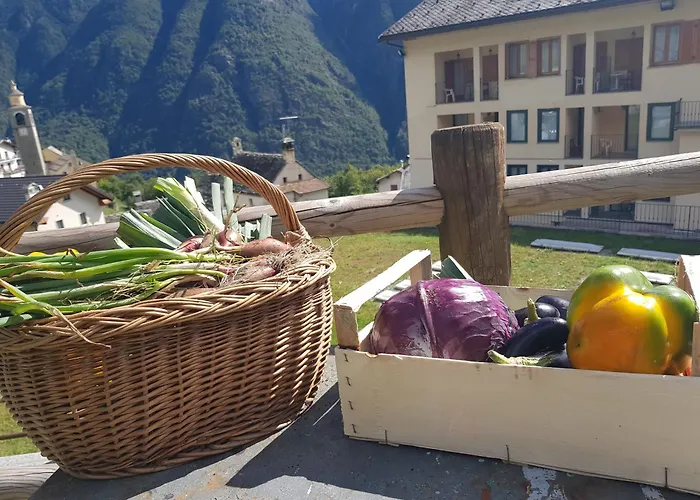 Hotel Belvedere Wellness&Spa